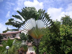 Grande Vista (D28), Condominium #106613002